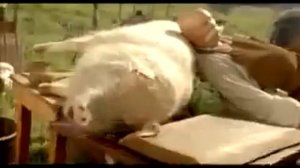 Реклама сухариков "Хрусteam" со вкусом кольмара