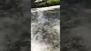 Принцип работы мини земснаряда