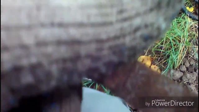 Интересный пляжный коп. смотреть онлайн