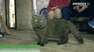 Стиральная машина в подарок