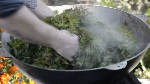 Производство чая в Крыму — Шипъ-Шенъ смотреть онлайн