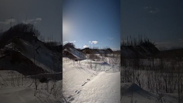 Каюры на собачьих упряжках дошли до неизведанного мыса на Сахалине смотреть онлайн