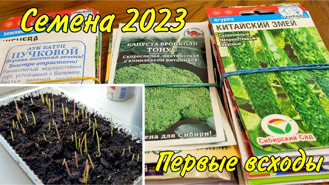 Каталог семян 2023 года