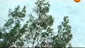 ТИБЕТ , поиск загадочной ШАМБАЛЫ