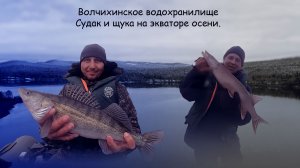 Волчихинское водохранилище/Судак и щука на экваторе осени/15.10.2022