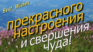 ДОБРОГО Утра и ХОРОШЕГО Дня, Позитивная Видео Открытка с Пожеланиями Доброго Утра и Хорошего Дня