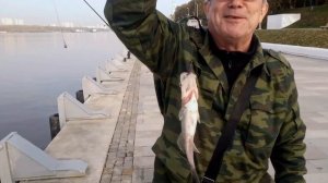 Рыбалка с причала Северного Речного вокзала.