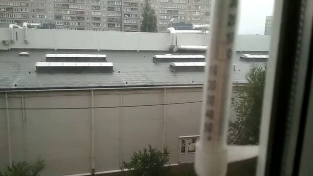Лето в Калининграде