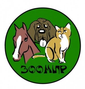 Правда ли, что ежи запасают на зиму яблоки и грибы?