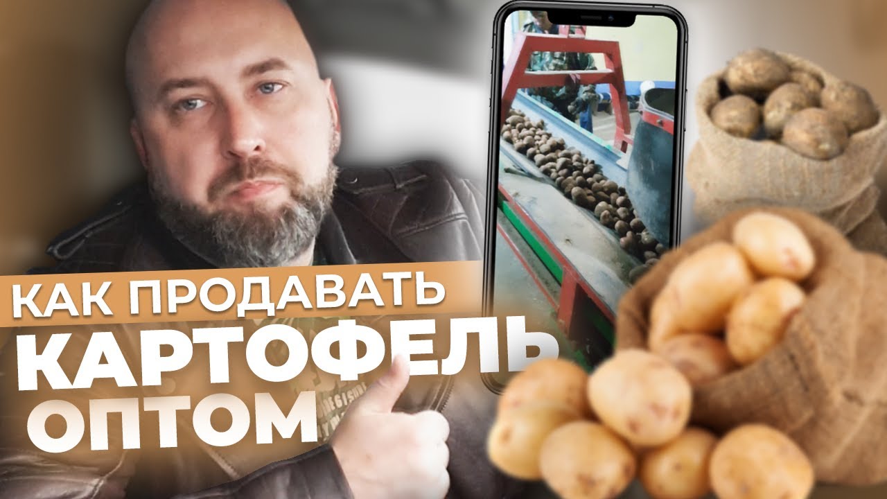 Как Продавать КАРТОФЕЛЬ ОПТОМ - Разбор Ниши от Практика. Оптовый Бизнес