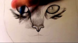 Как рисовать кошку карандашом