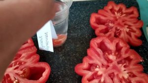 Дегустация + разрез томата Русская гармошка