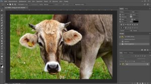 Как убрать лишний объект в фотошопе