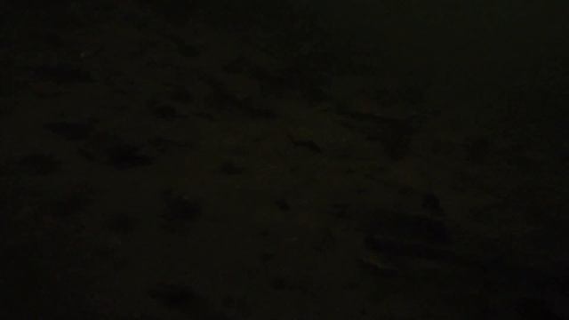 Последние минуты жизни подводной камеры смотреть онлайн