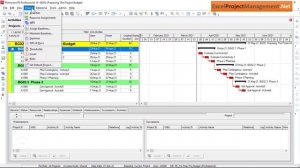 Primavera P6 project management training | Primavera P6 tutorial | Primavera P6 training