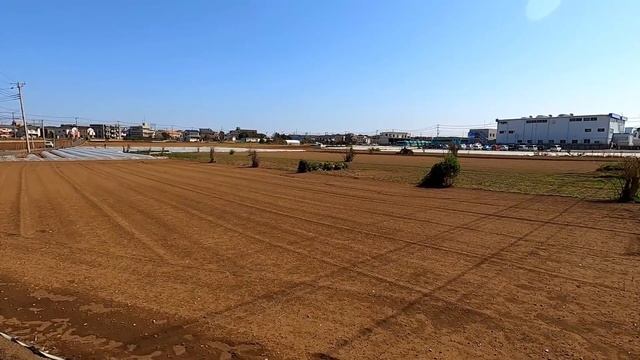 Огороды в Японии. Как японцы выращивают овощи. смотреть онлайн