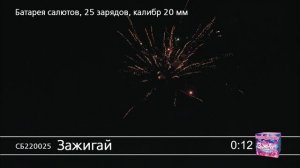 СБ220025 Зажигай