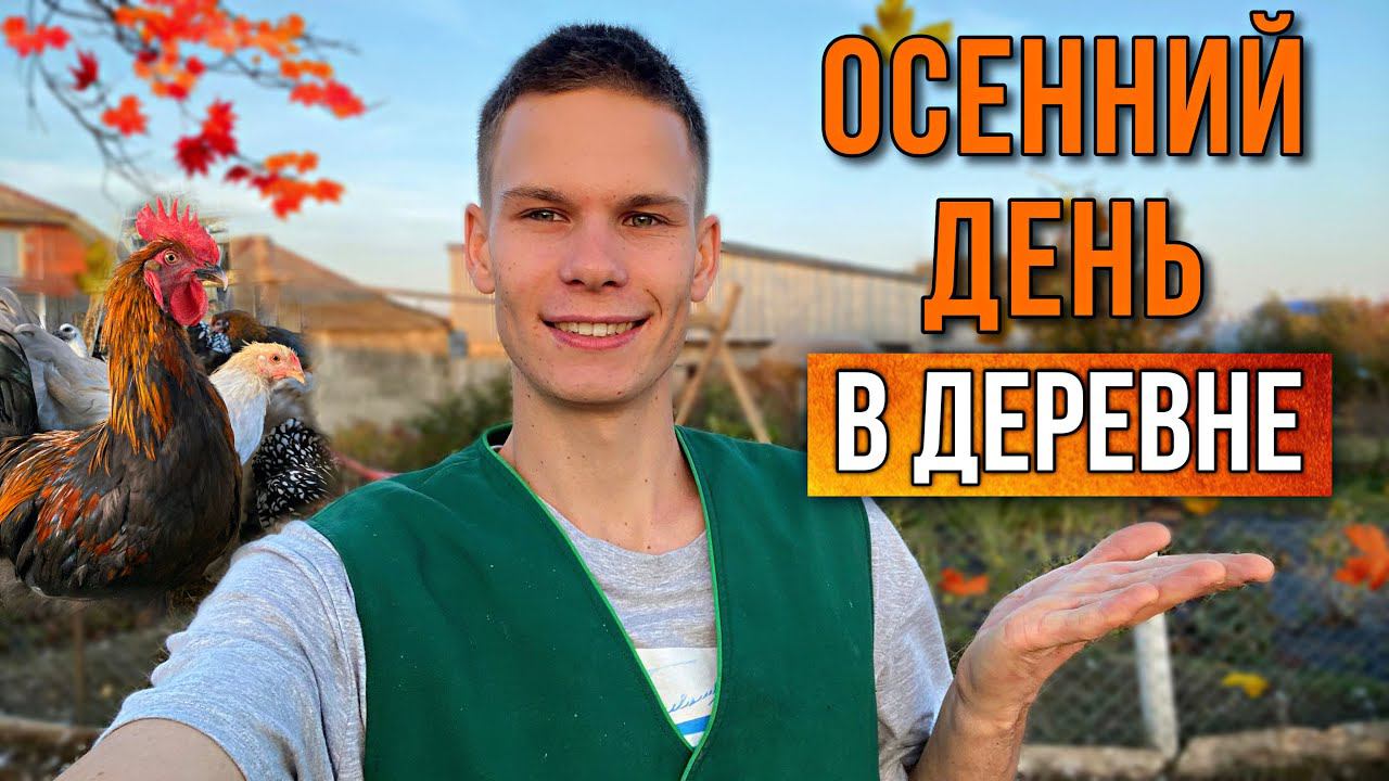 Новости на фермеПавлины,Утки,Куры | ВАЖНЫЕ ПРОЦЕДУРЫ ПТИЦ В ОСЕННИЙ ПЕРИОД | Подготовка теплицы