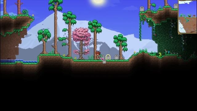 ГАЙД НА МИНИ БИОМЫ В ТЕРРАРИИ! #terraria #террария #террарияпрохождение