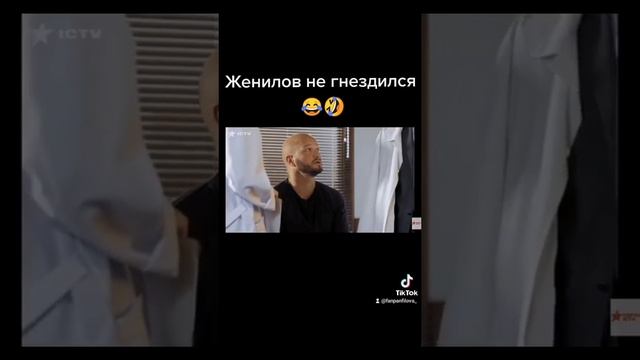 пёс-смешные моменты ??? смотреть онлайн