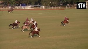 The Rules of Pato (Horseball) - EXPLAINED!