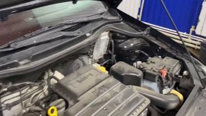 Volkswagen Polo Мойка кузова. Мойка двигателя, химчистка подкапотного пространства. Премиум мойка