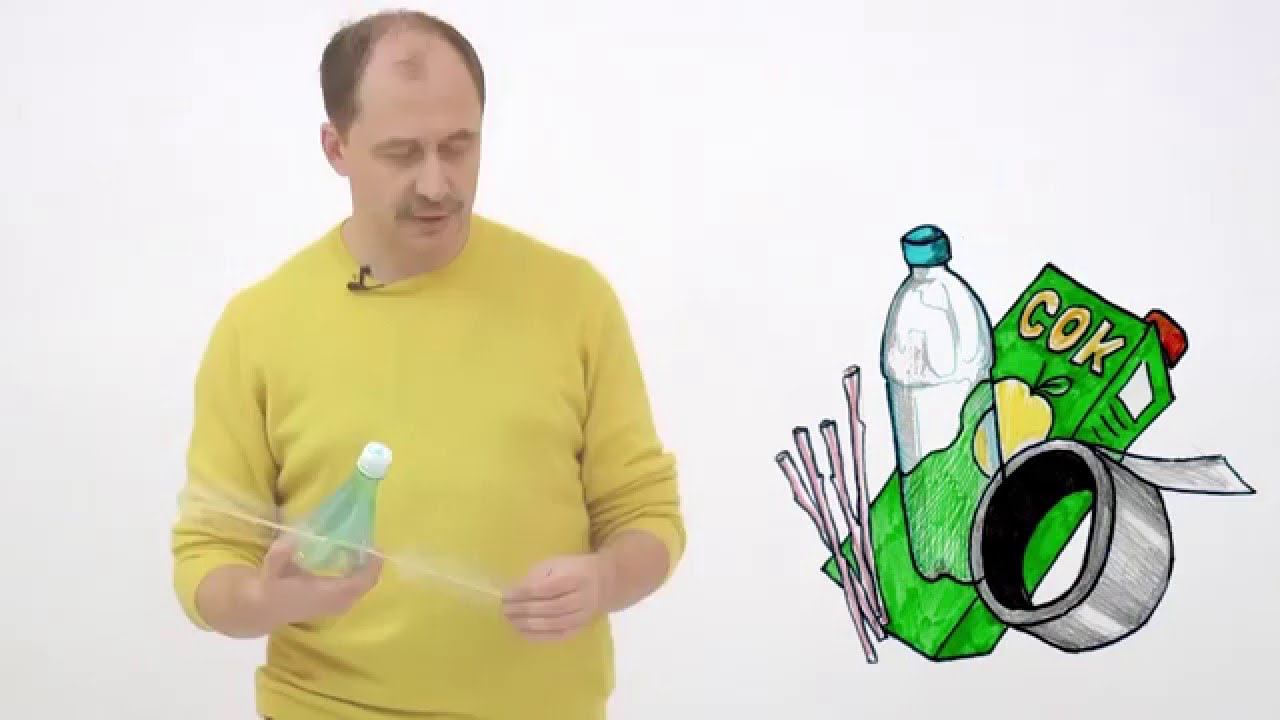 Мусорное биомоделирование. Членистоногие. Часть 1.