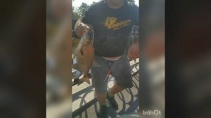 Супер рыбалка,Река Екатерингофка.