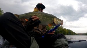 Рыбалка на Красивой мече сплавом в конце августа! Лайтовый кастинг! Shimano Zodias против жереха