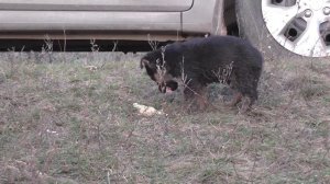 РЫБАЛКА НА КОТОРОЙ СПАС МАЛЫША.