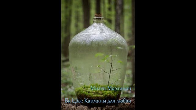 Ба Цзы: Карманы для любви (Maelinhon) смотреть онлайн