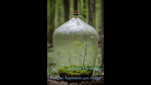 Ба Цзы: Карманы для любви (Maelinhon)