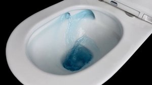 Круговой смыв унитаза-моноблока торговой марки EvaGold