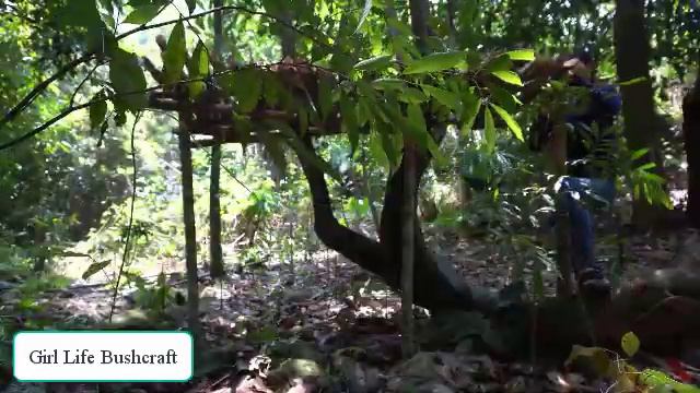 Girl Life Bushcraft 150 Days Bushcraft Survival Alone in the Rainforest! EP 2 смотреть онлайн