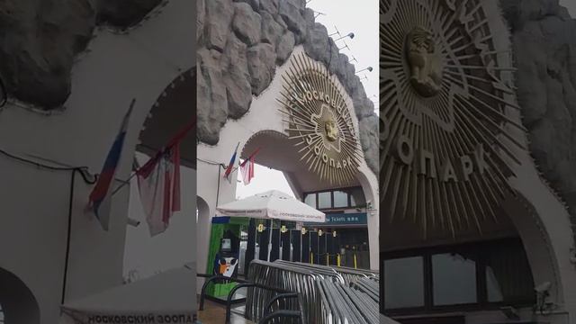 Московский зоопарк осень 2022 #москва #зоопарк #московскийзоопарк #zoo #moscow #деньгорода #столица смотреть онлайн