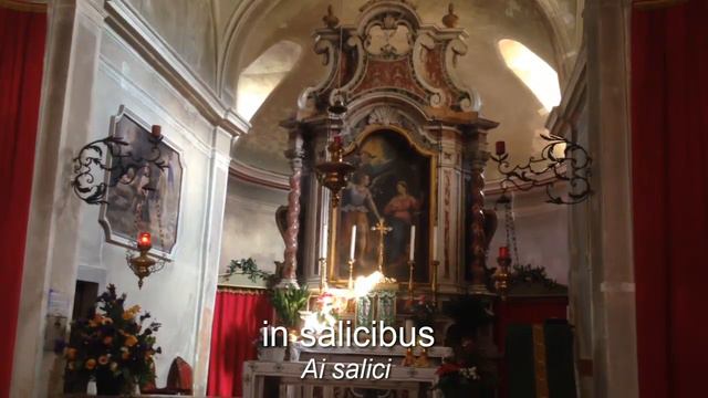 Super Flumina Babylonis *con Paolo Caliari in ricordo di Padre Tiziano Donini смотреть онлайн