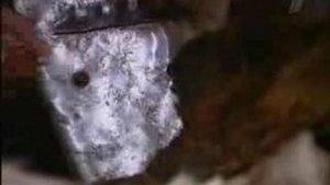 ПОСЛЕДНИЙ ШАМАН-3