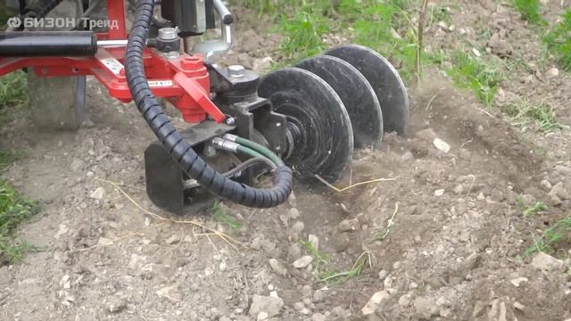 Молодые яблони под защитой смотреть онлайн