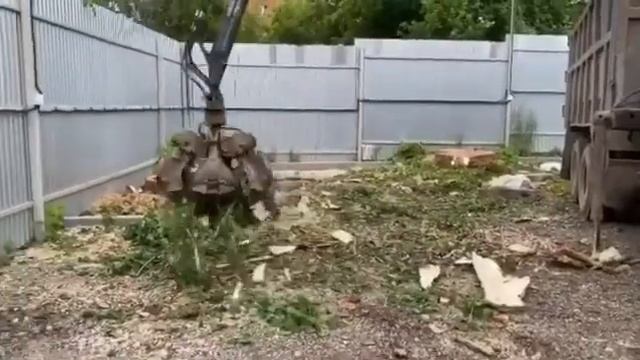 Спил деревьев. Тула и область. Автовышка. смотреть онлайн