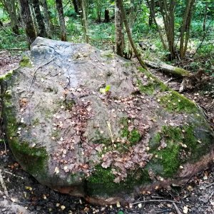 Старковский Синь-камень. Место силы.
