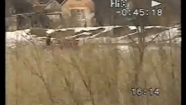 Зимняя прогулка.