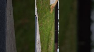 роторная косилка на мотоблок Патриот Урал