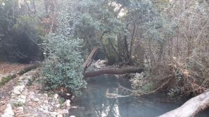 Олимпос Античный город  Пляж Олимпос Кемер Турция Olympos Adrasan Antaliya  Что посмотреть в Анталии