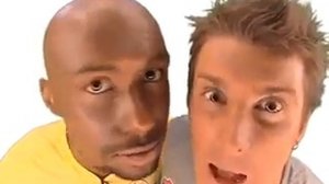 Стерео утро   Чайка