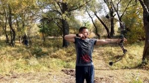 Первый блочный лук. Что выбрать? Interloper Rex, Poe Lang Хищник, Man Kung CB-75