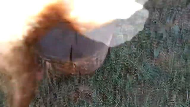 Как правильно отрубать голову курице смотреть онлайн