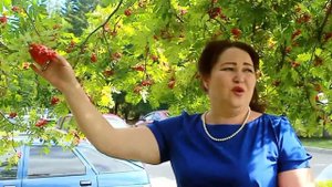 Зульфия Бирдегулова Осратҡанға үкенәм