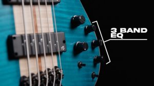 They don't call it PREMIUM for nothing! | 2024 Ibanez SR1425BCGL Premium Bass