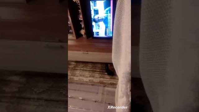 Как прятать монеты амну 1 если спрятался нету смотреть онлайн