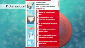 Классификация микроорганизмов и вирусов. Экология микроорганизмов #биологияегэ #гигеназдоровье